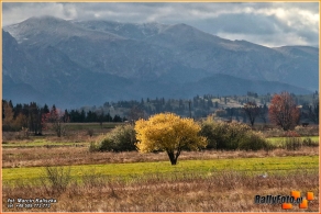 54. Rajd Żubrów | Fot.: Marcin Kaliszka