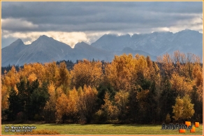 54. Rajd Żubrów | Fot.: Marcin Kaliszka
