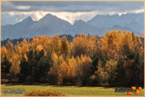 54. Rajd Żubrów | Fot.: Marcin Kaliszka