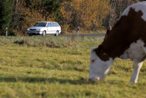 53. Rajd Żubrów
